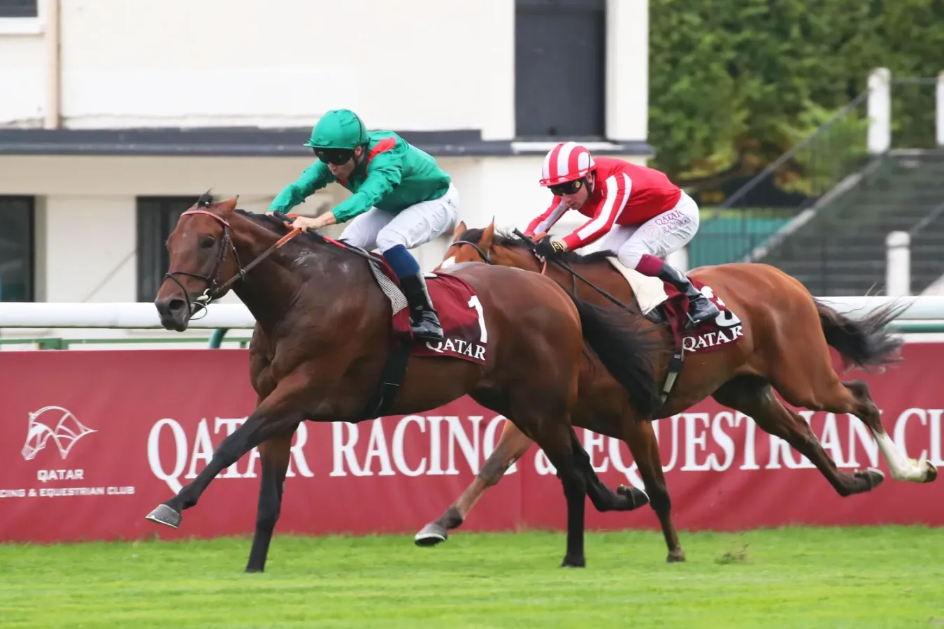 G2 Qatar Prix Foy - Daryz