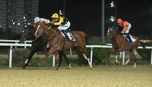 2026 G2 Uluslararası France Galop Anadolu Koşusu - Poetry In Motion