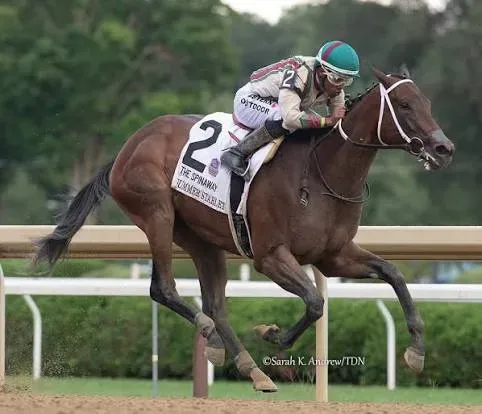 Summer Starlet G1 Spinaway