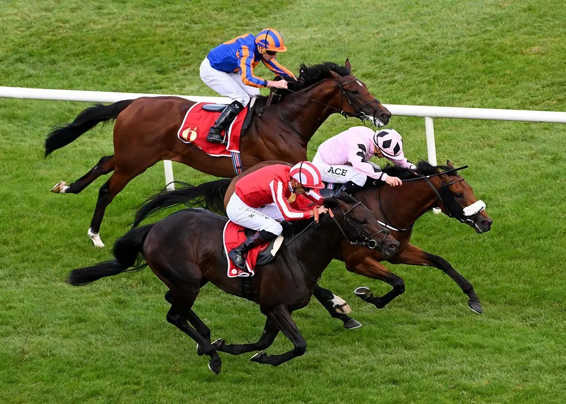 G1 Irish Champion Stakes