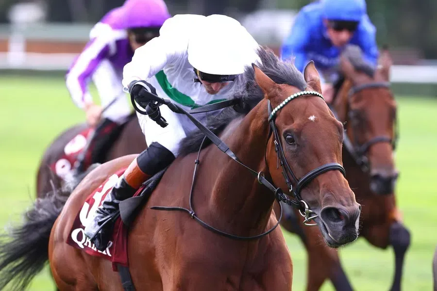 Friendly Soul ve James Doyle - Qatar Prix Vermeille (G1)