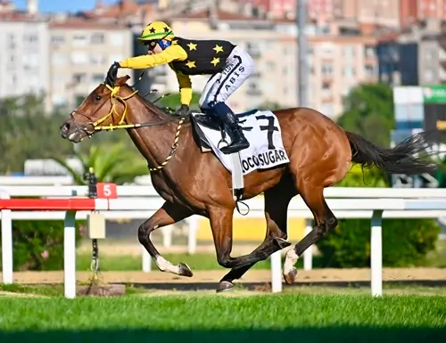 2026 KISRAK KOŞUSU LOCO SUGAR