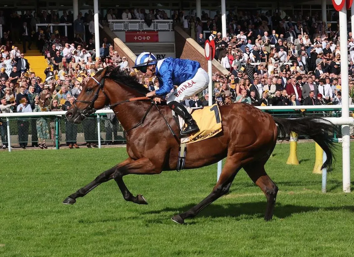 G1 Betfair Sprint Cup - Almeraq