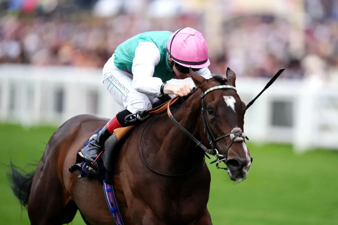 Blue Bolt G1 Matron Stakes