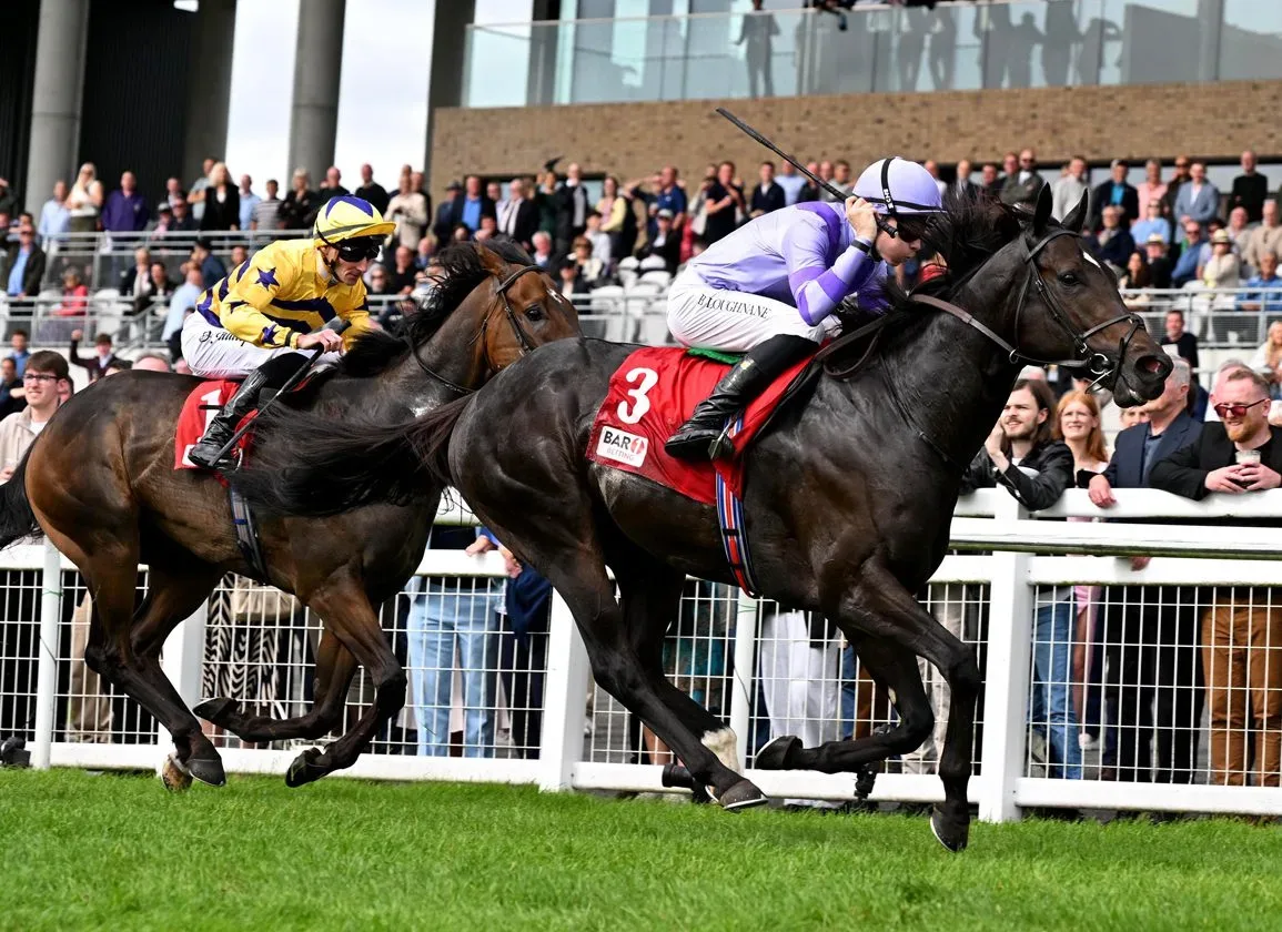 2026 G1 Flying Five Stakes - Comanche Brave