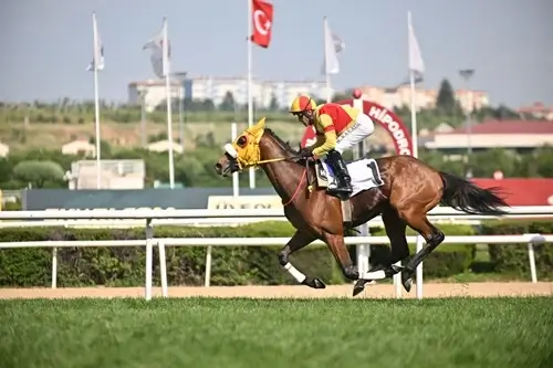2026 MEHMET AKİF ERSOY KOŞUSU GALİBİ BAY NALÇAKAN